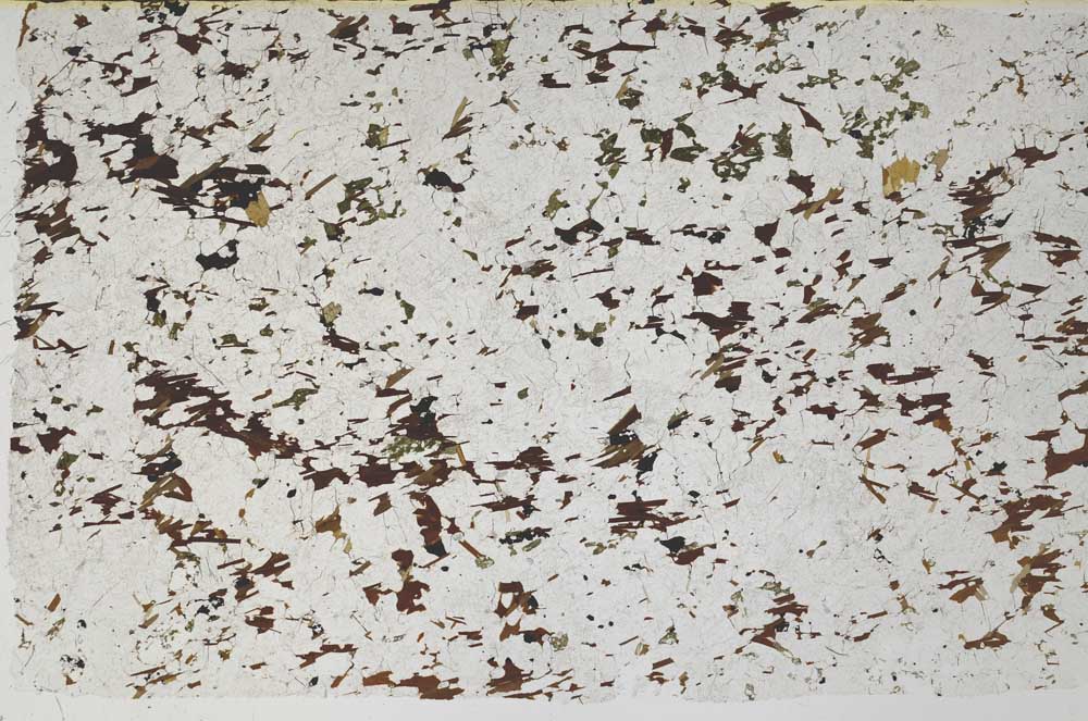 Plane Polarized, S58046