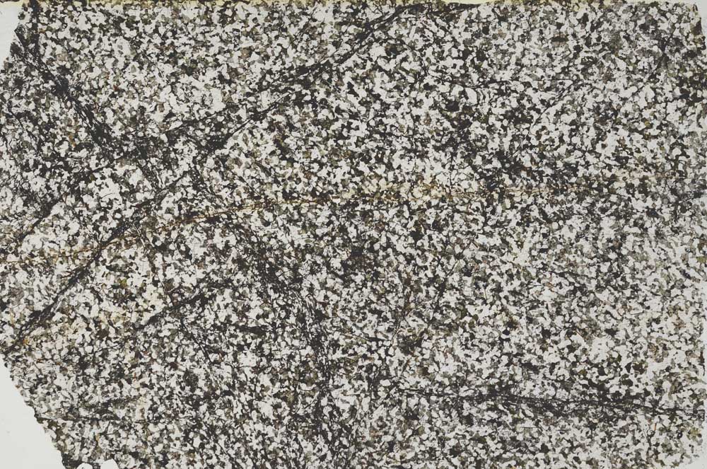 Plane Polarized, S58047