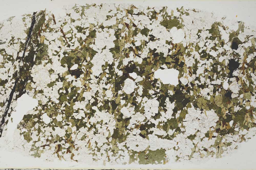 Plane Polarized, S58105