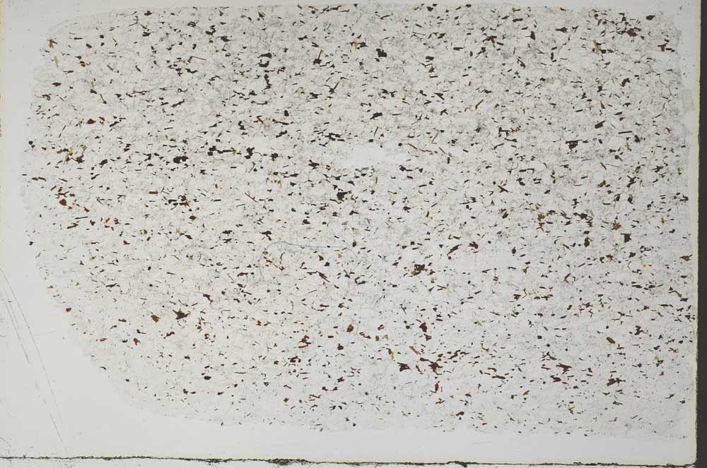 Plane Polarized, S58116