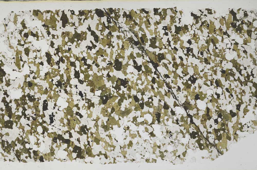 Plane Polarized, S58134