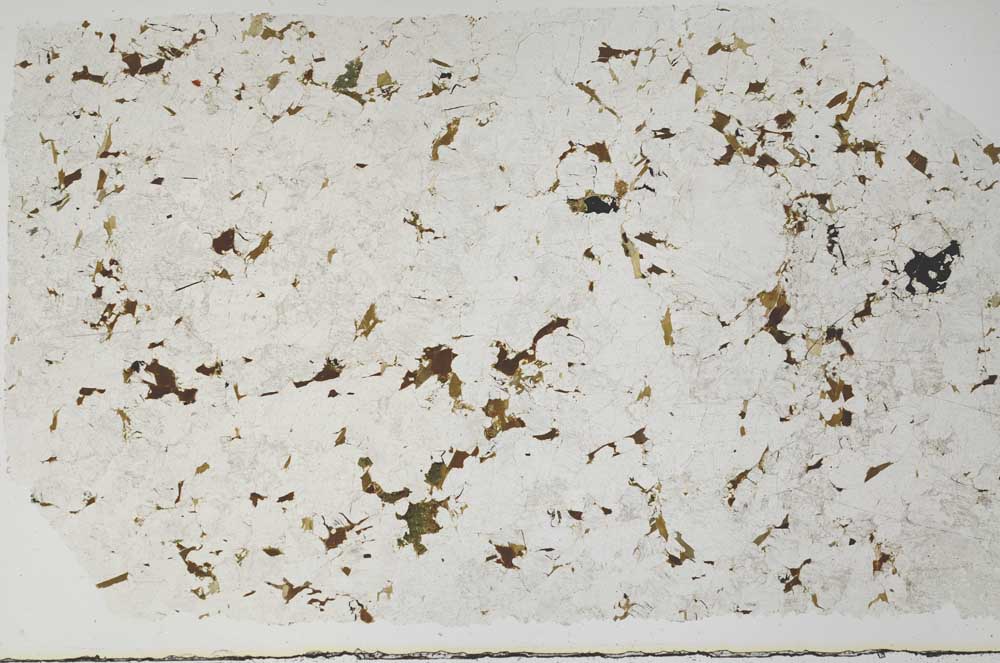 Plane Polarized, S58135