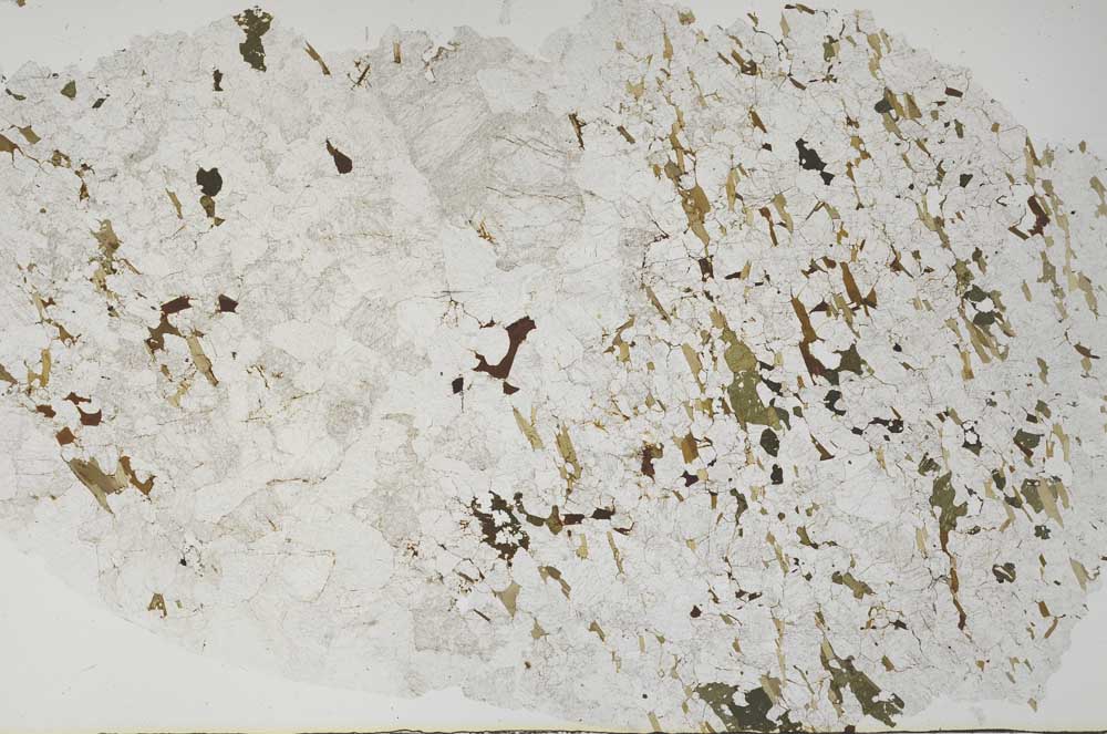 Plane Polarized, S58138