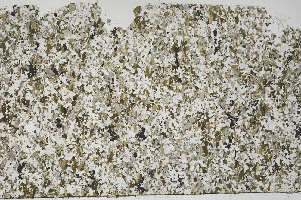 Plane Polarized, S58186