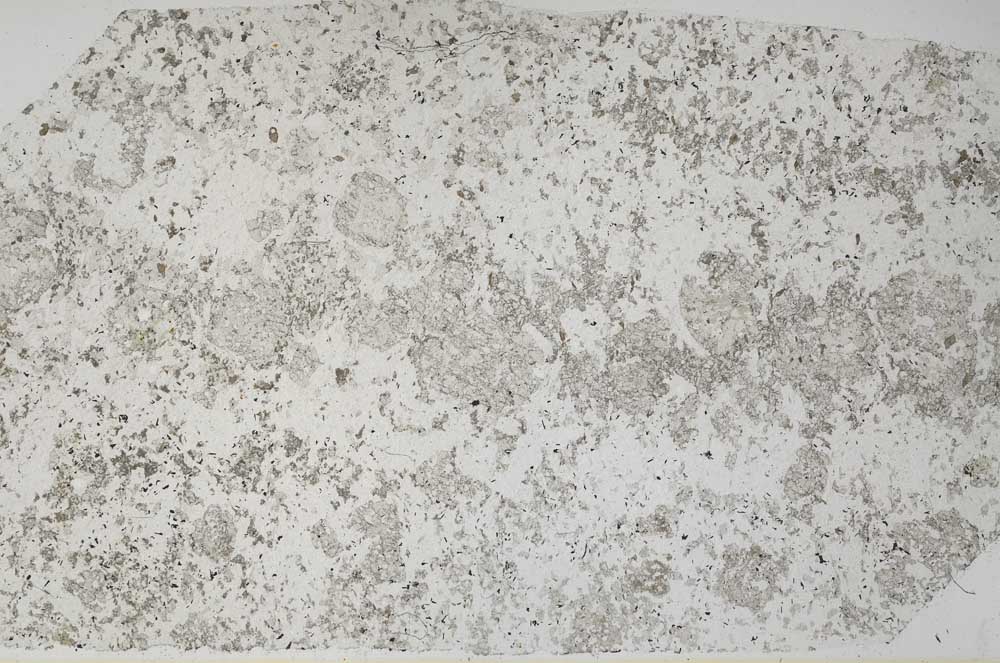 Plane Polarized, S58364