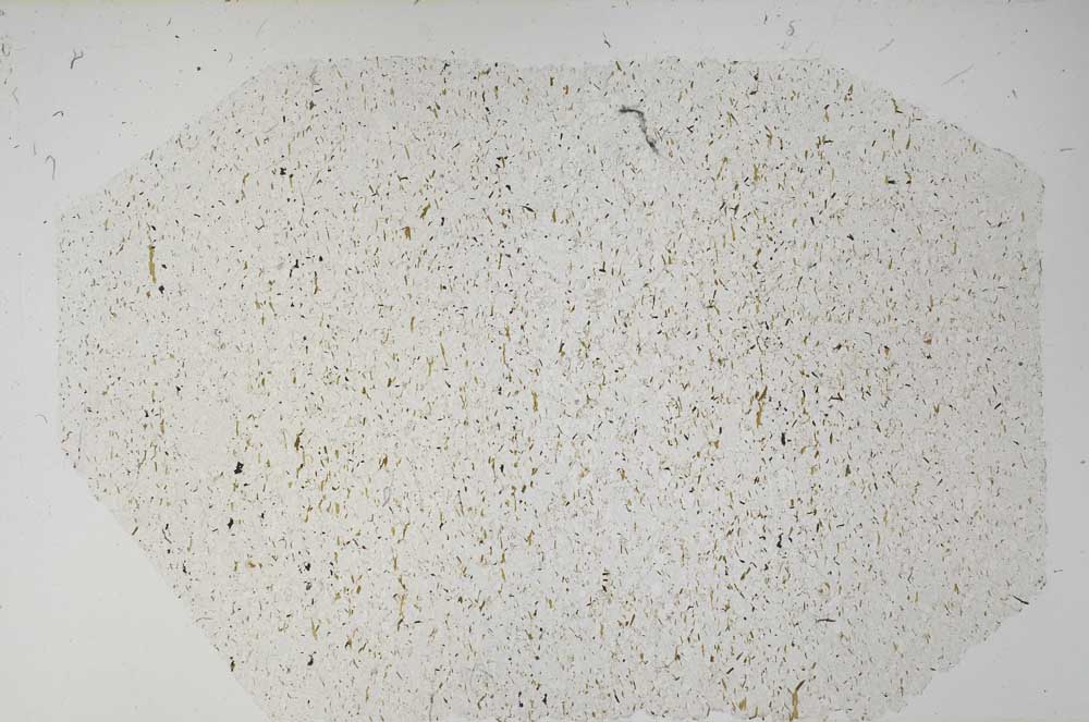 Plane Polarized, S58368