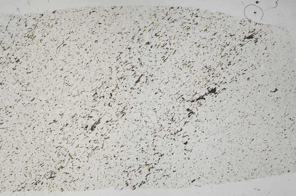 Plane Polarized, S58369