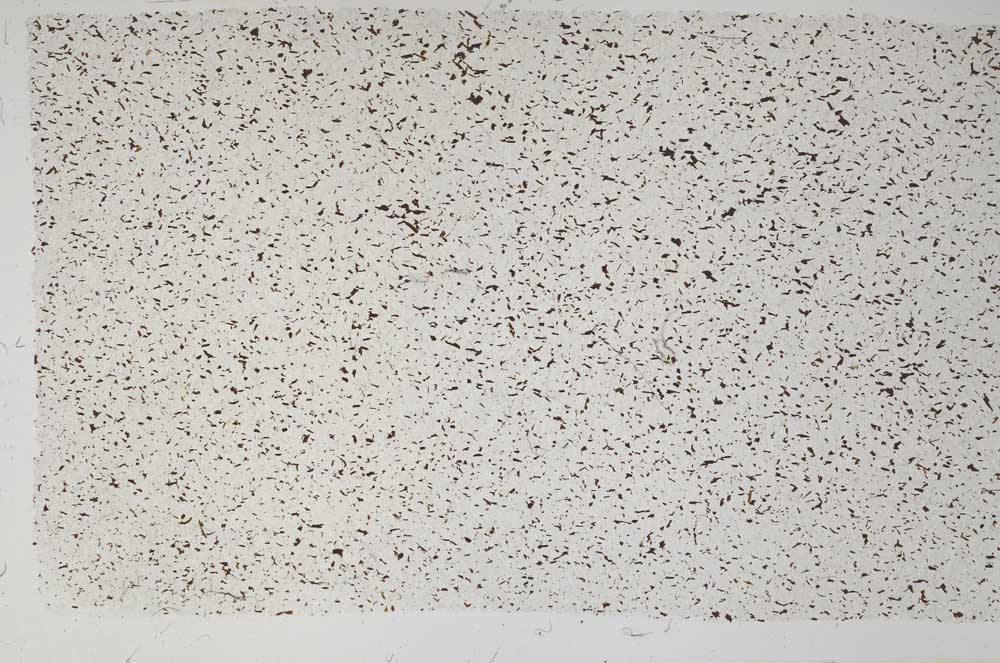 Plane Polarized, S58371