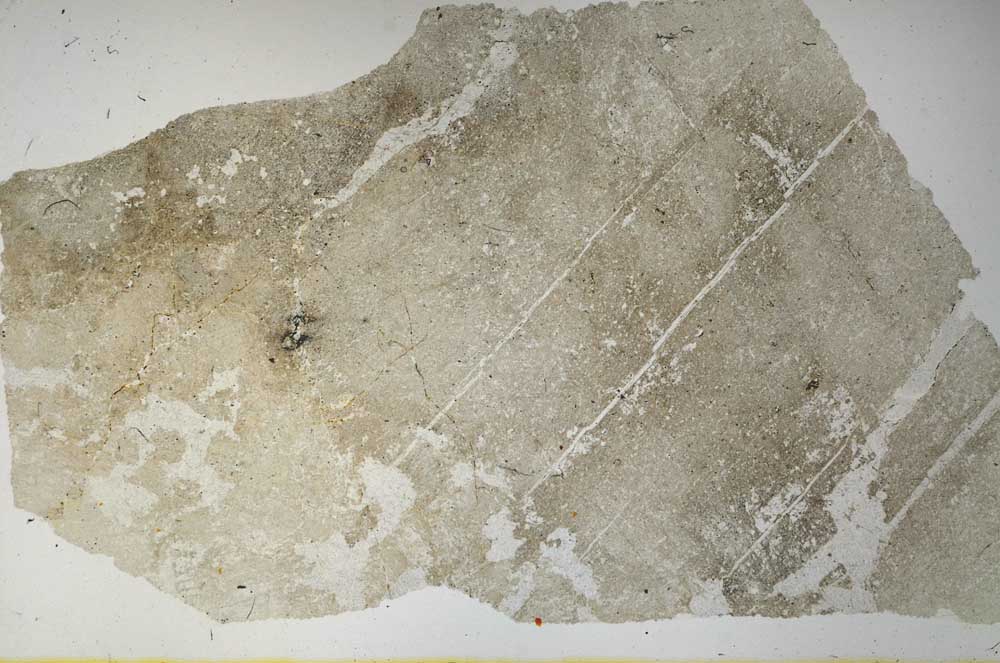 Plane Polarized, S58373