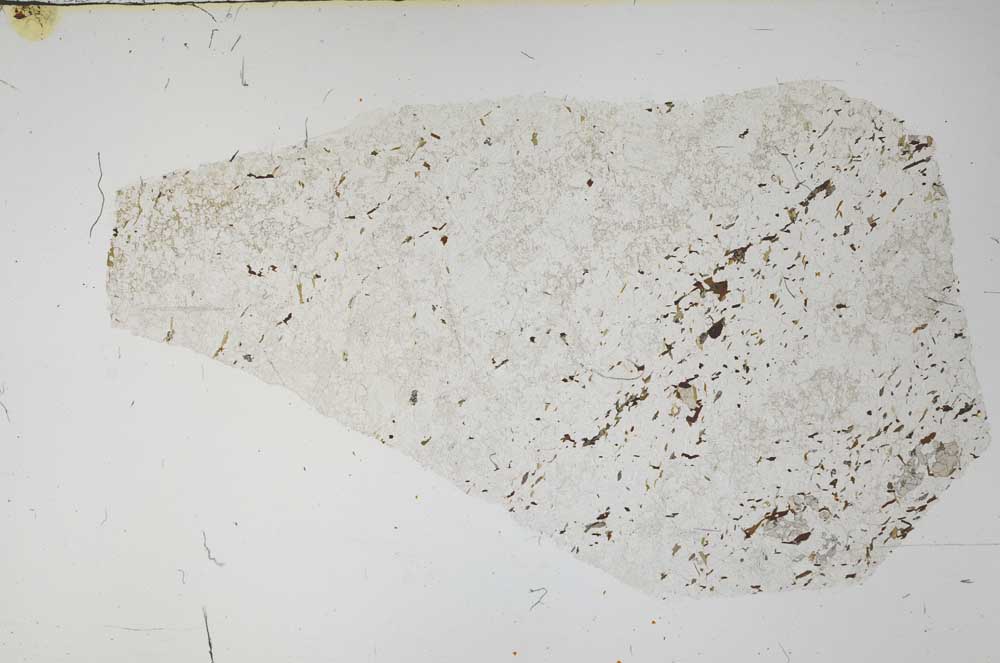 Plane Polarized, S58375