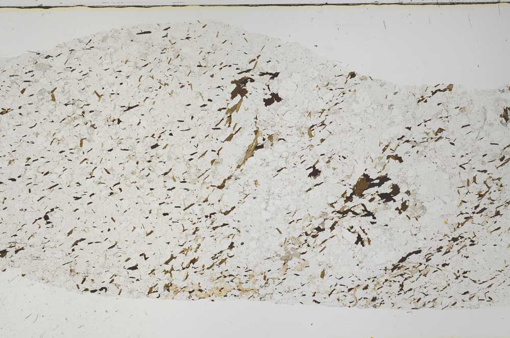 Plane Polarized, S58392