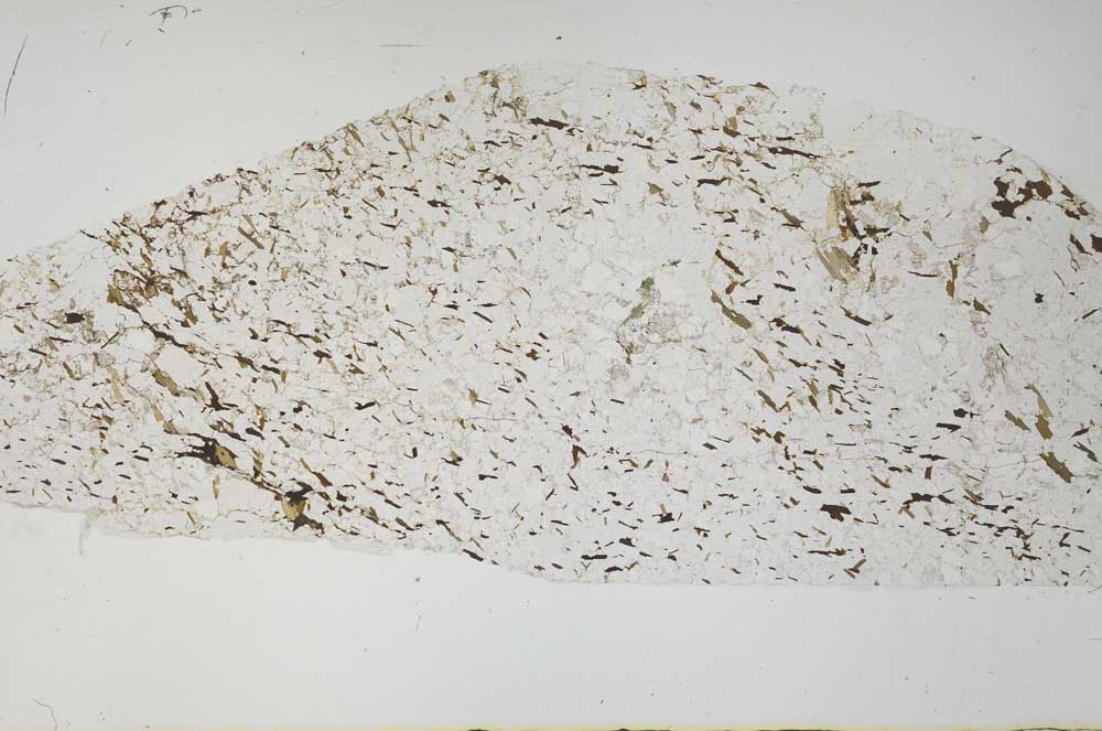 Plane Polarized, S58393