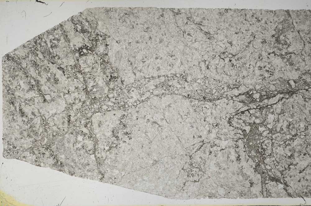 Plane Polarized, S58411
