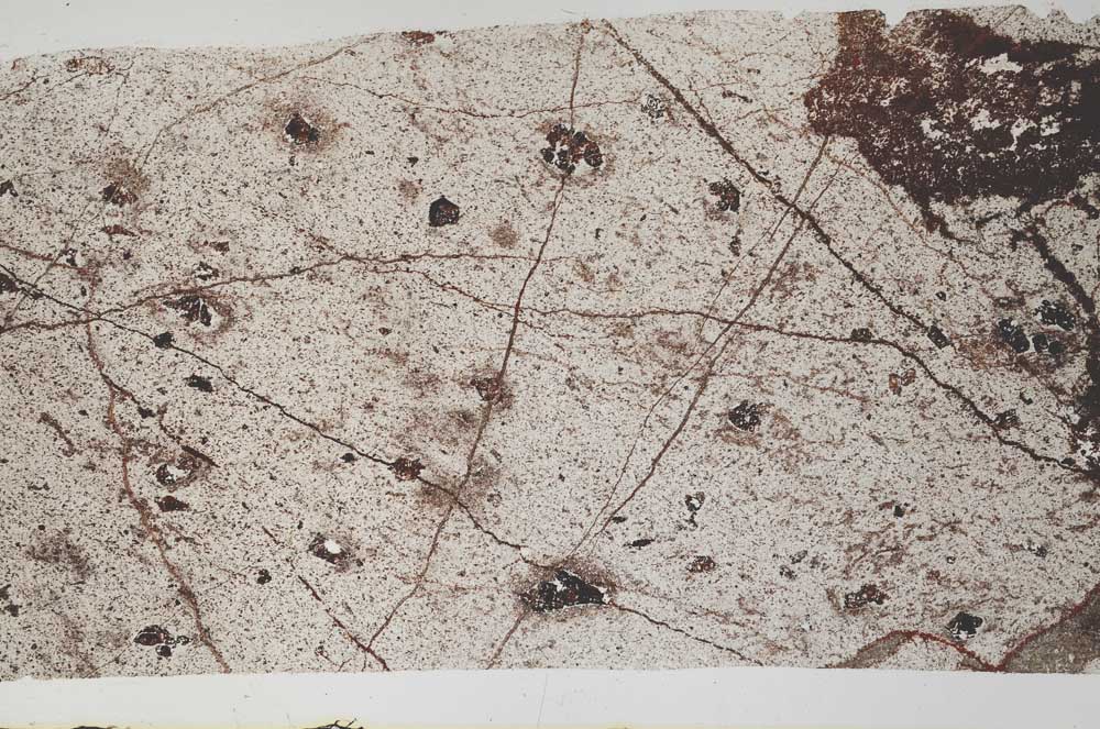 Plane Polarized, S58442