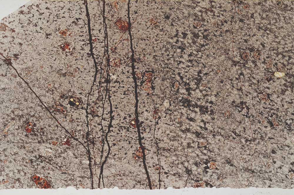 Plane Polarized, S58444