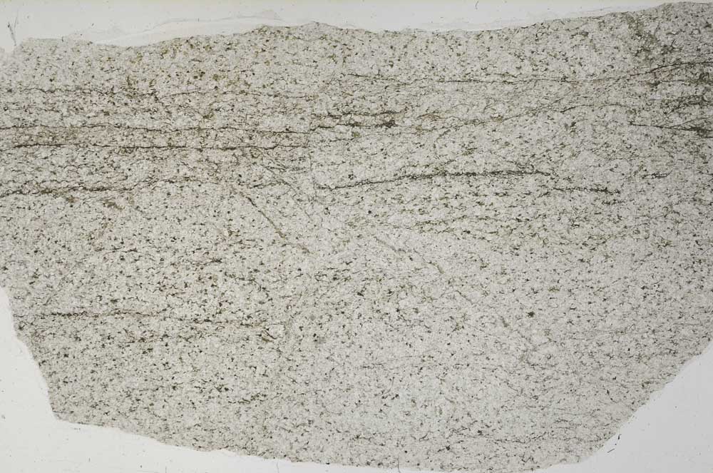 Plane Polarized, S58492