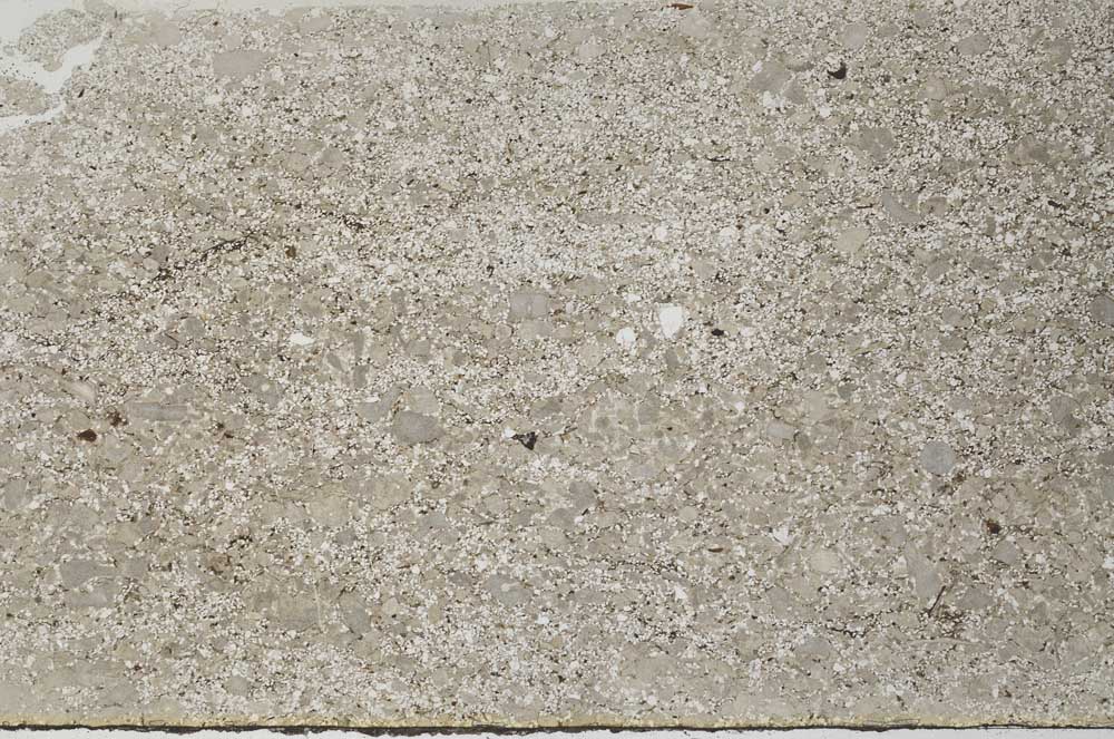 Plane Polarized, S58504