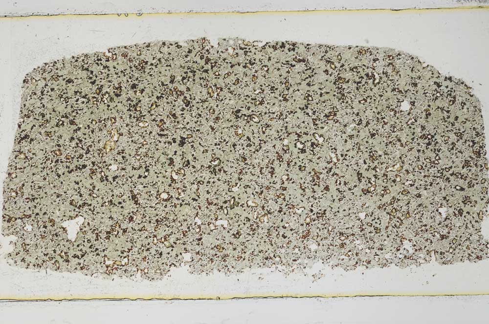 Plane Polarized, S58531