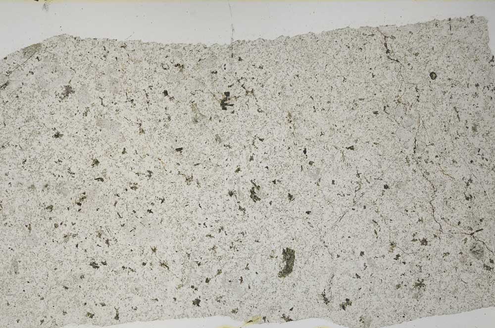 Plane Polarized, S58536