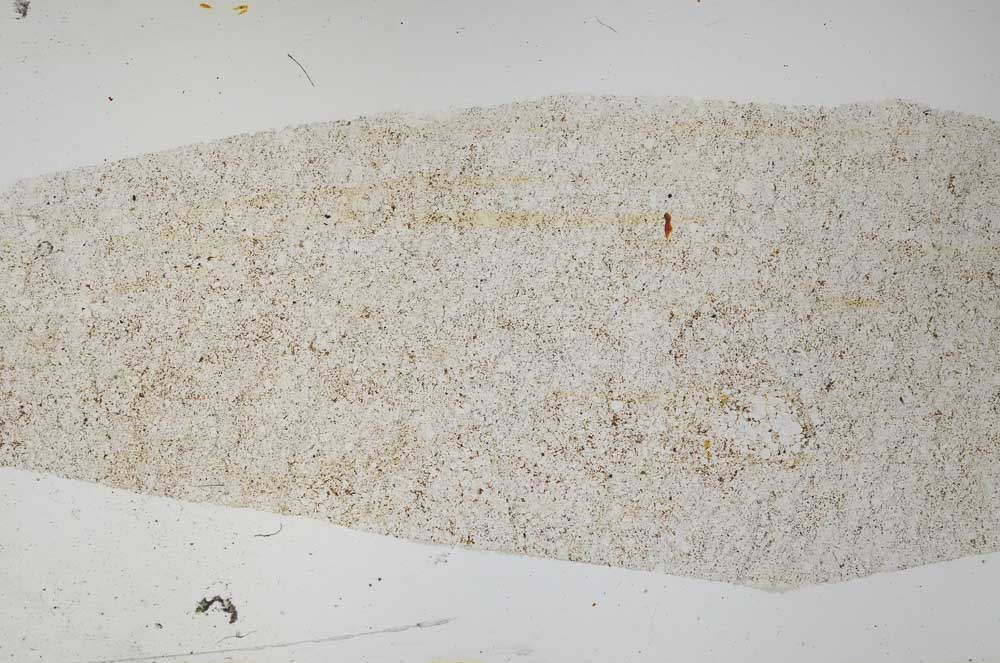 Plane Polarized, S58541