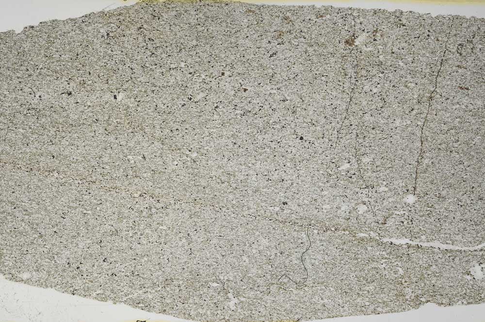 Plane Polarized, S58545