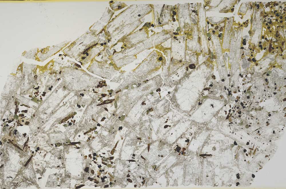 Plane Polarized, S58555