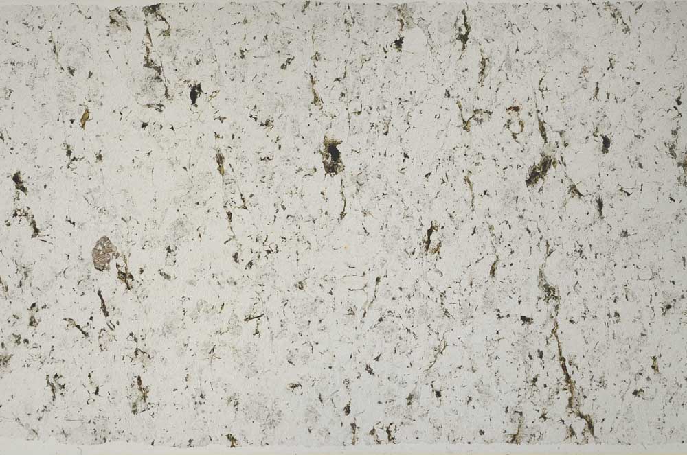 Plane Polarized, S58640