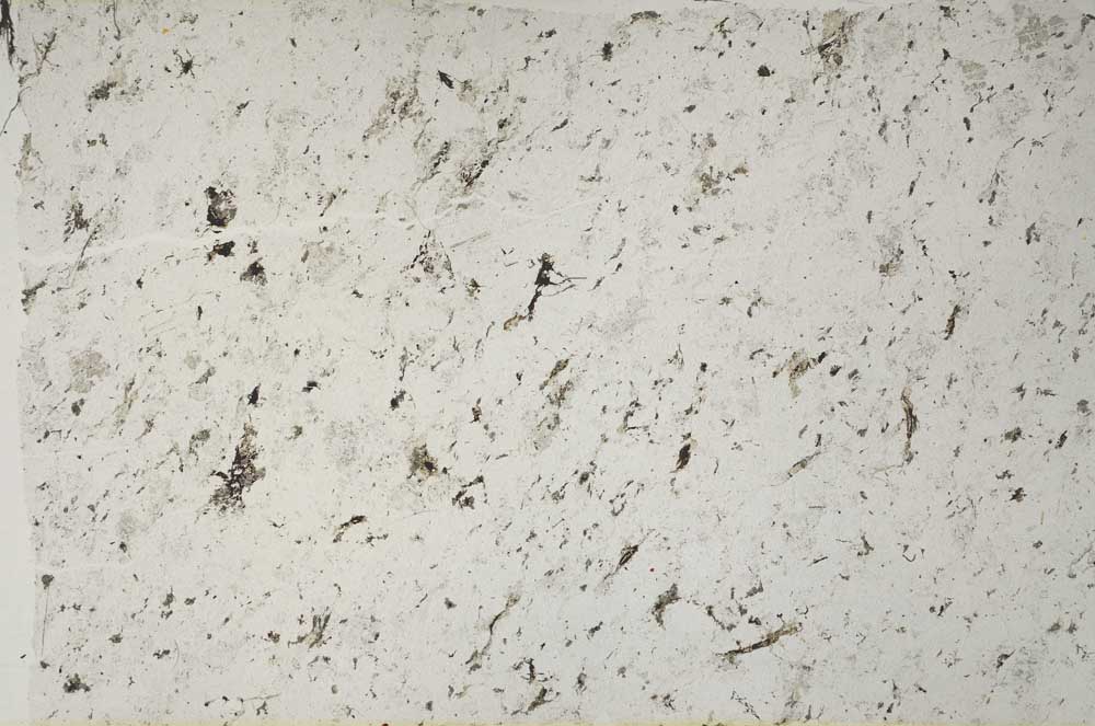 Plane Polarized, S58641