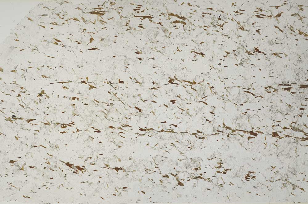 Plane Polarized, S58658