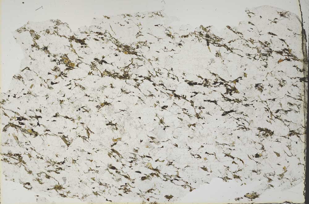 Plane Polarized, S58660