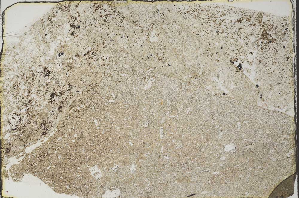 Plane Polarized, S58674