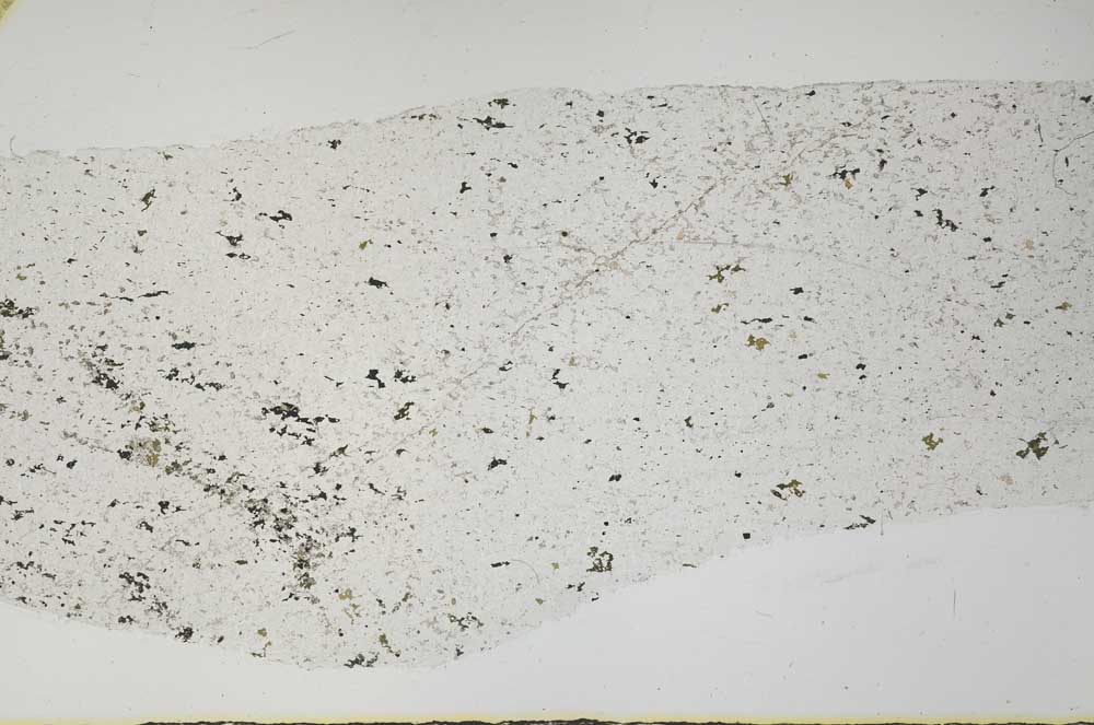 Plane Polarized, S58720