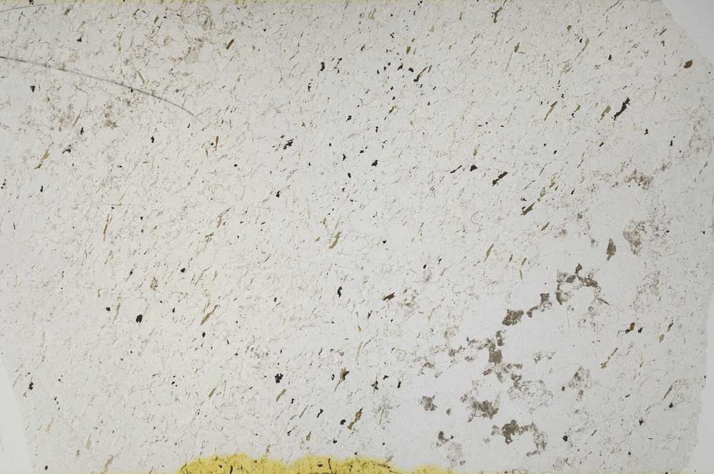 Plane Polarized, S58736