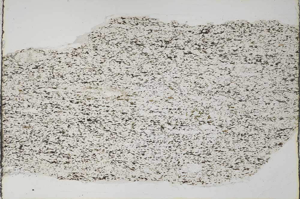 Plane Polarized, S58738