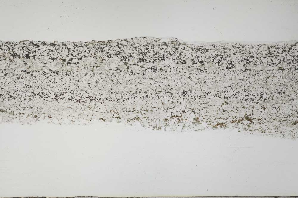 Plane Polarized, S58742