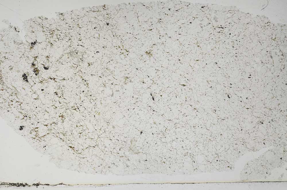 Plane Polarized, S58754