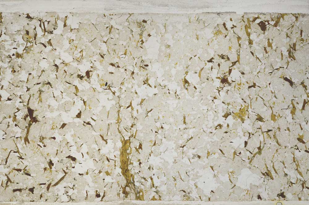 Plane Polarized, S58768