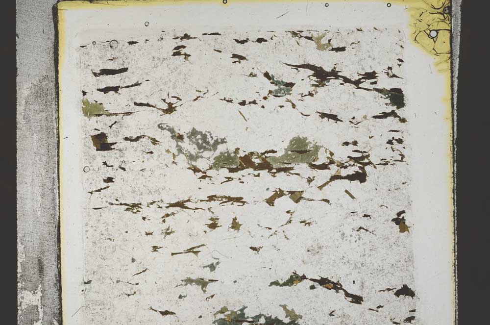 Plane Polarized, S58791