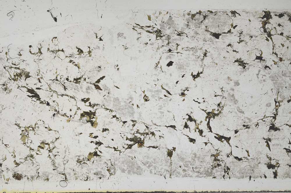 Plane Polarized, S58809