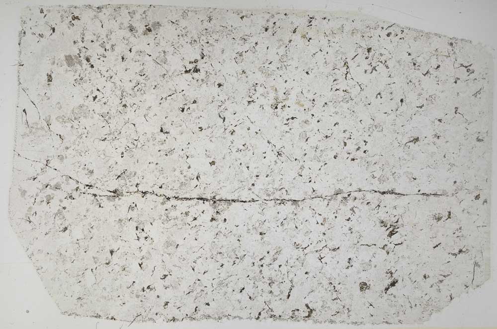 Plane Polarized, S58820
