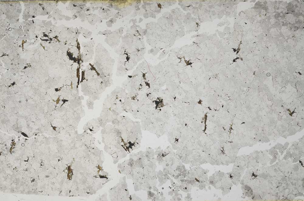 Plane Polarized, S58822
