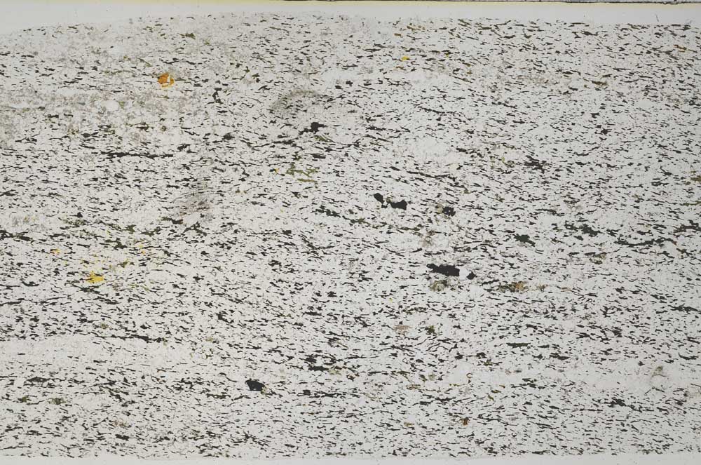 Plane Polarized, S59037