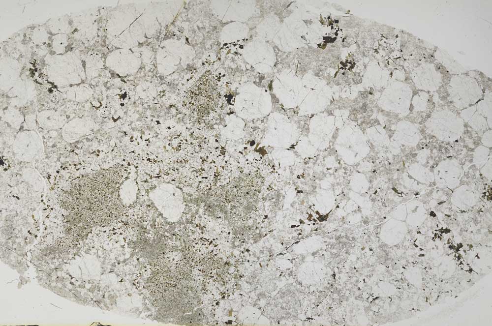 Plane Polarized, S59040/A