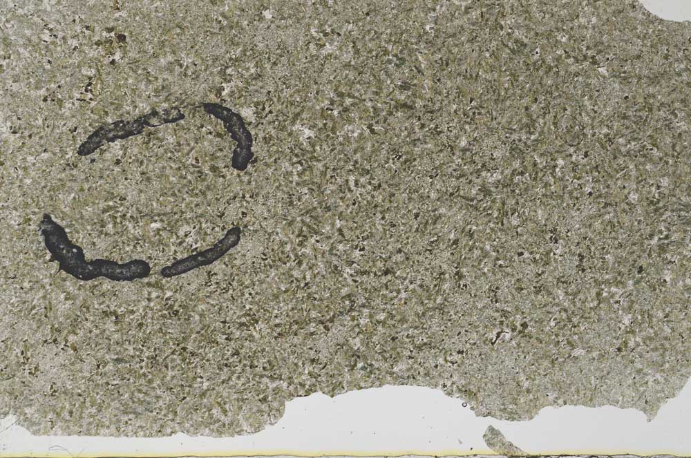 Plane Polarized, S59045/A