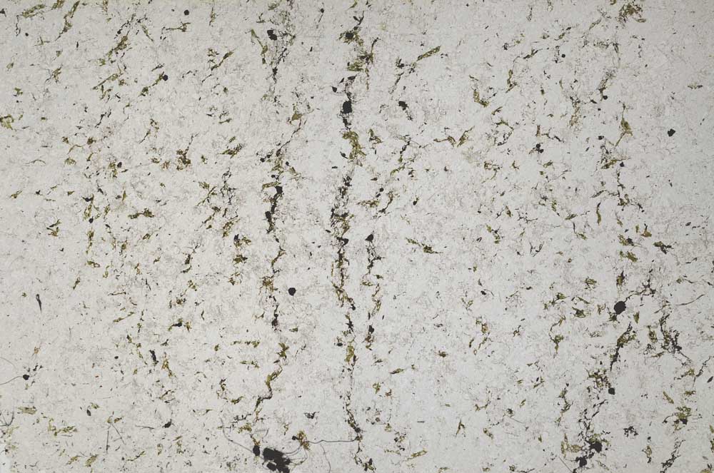 Plane Polarized, S59074