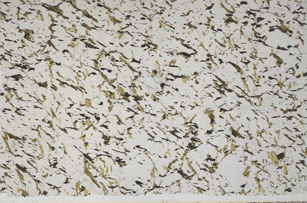 Plane Polarized, S59075