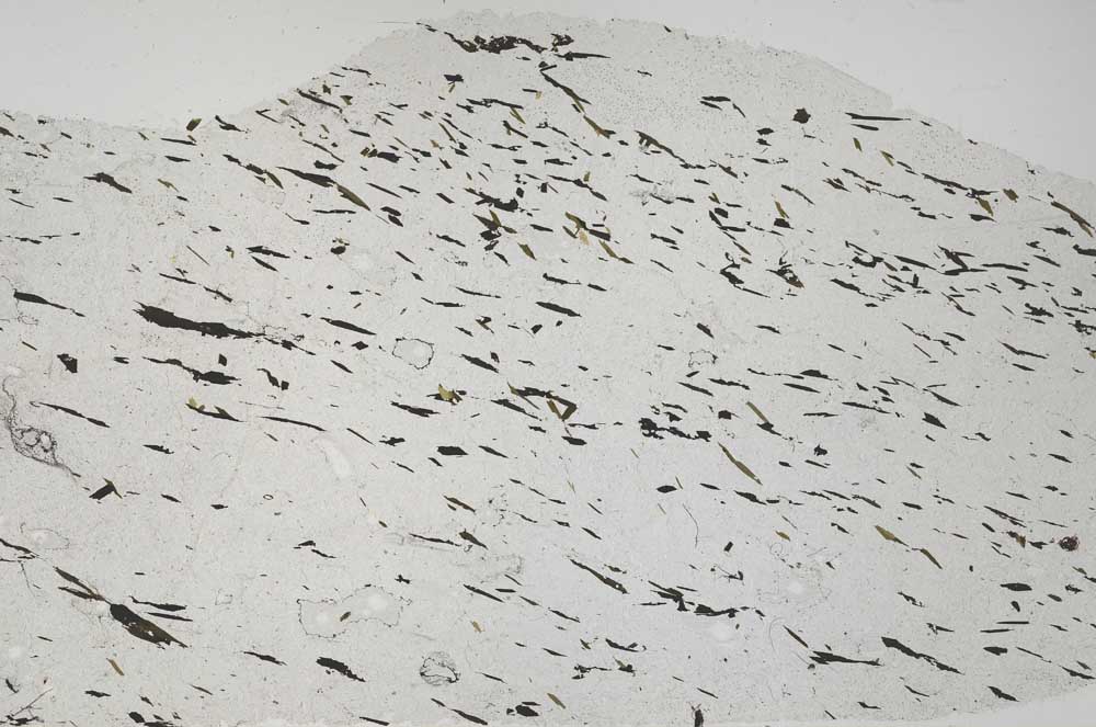 Plane Polarized, S59076