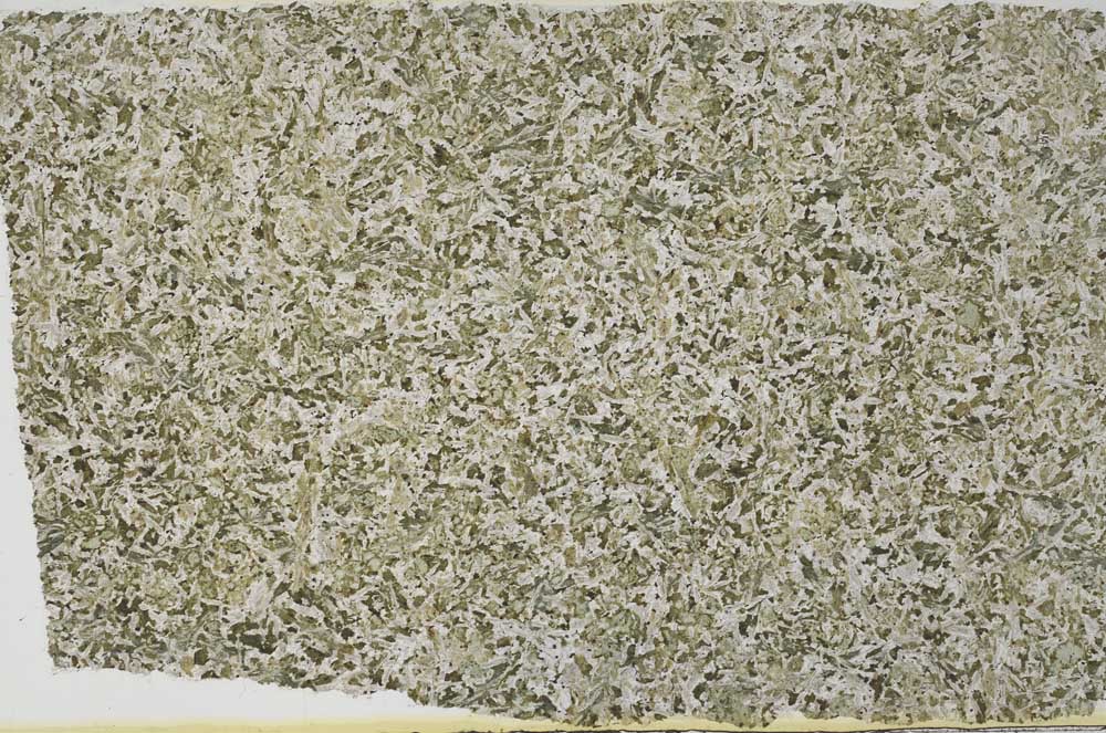 Plane Polarized, S59124