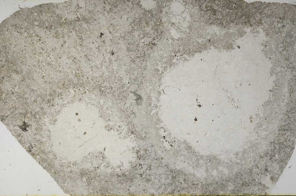 Plane Polarized, S59131