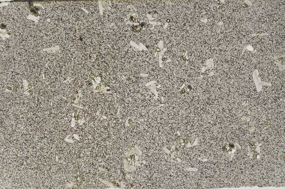 Plane Polarized, S59141
